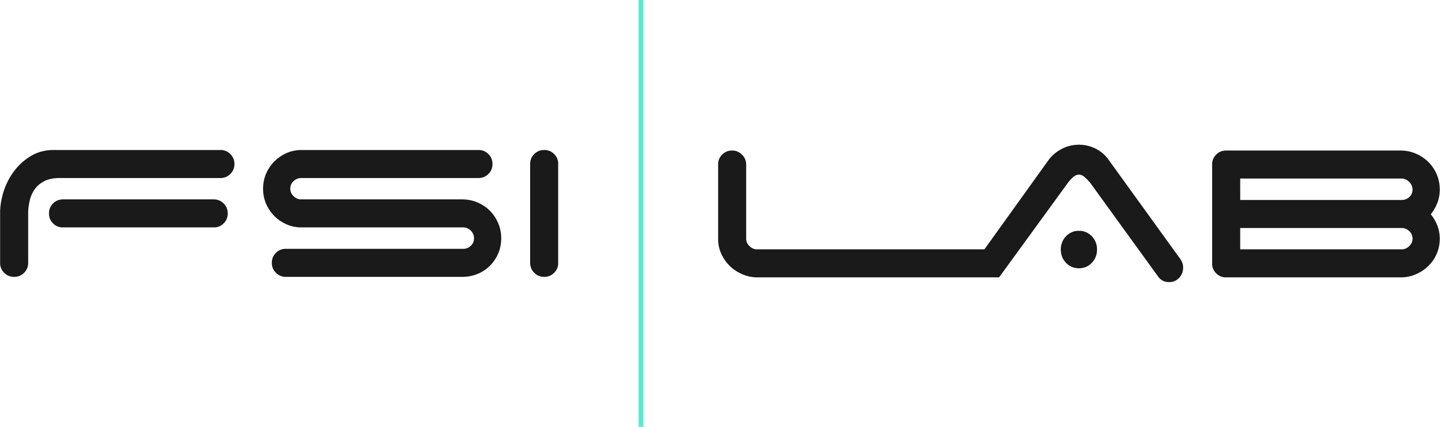 FSI Lab